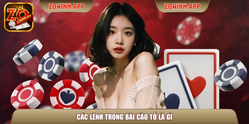 Các lệnh trong bài cào tố là gì