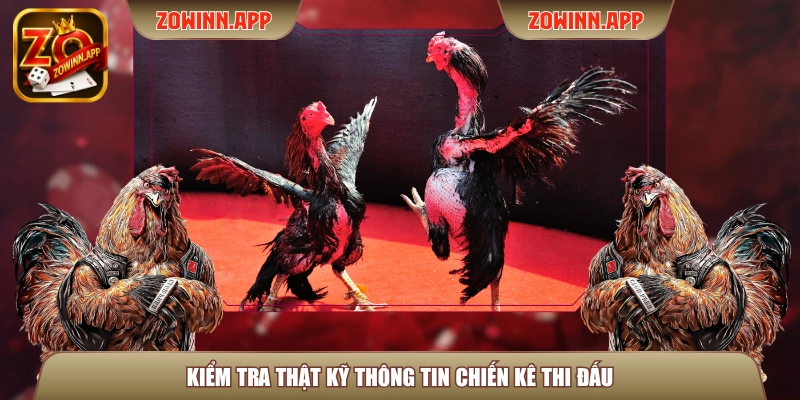 Kiểm tra thật kỹ thông tin chiến kê thi đấu