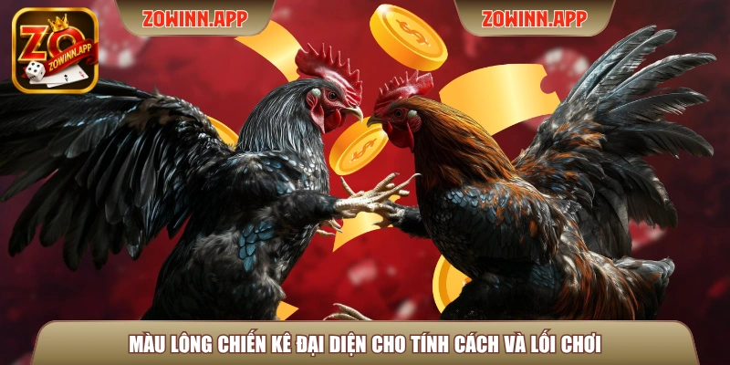 Màu lông chiến kê đại diện cho tính cách và lối chơi