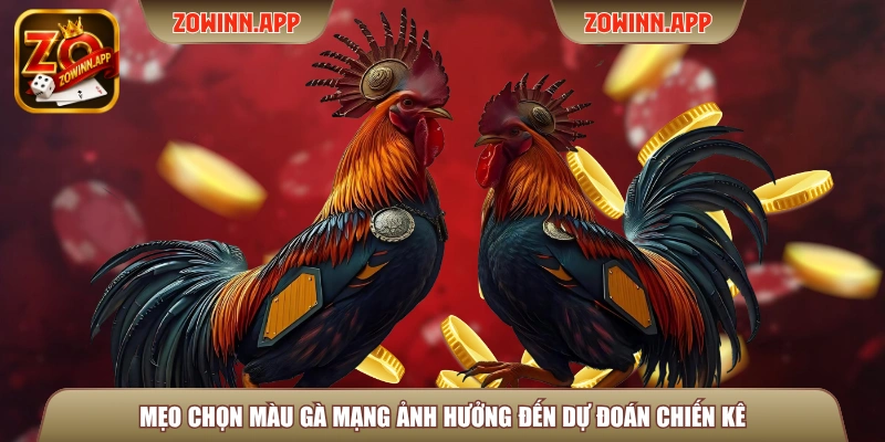 Mẹo chọn màu gà mạng ảnh hưởng đến dự đoán chiến kê