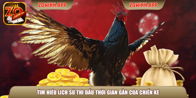 Tìm hiểu lịch sử thi đấu thời gian gần của chiến kê
